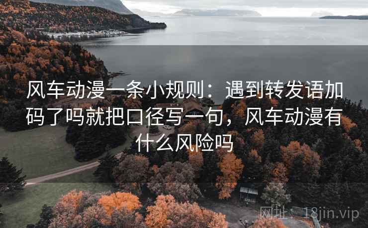 风车动漫一条小规则：遇到转发语加码了吗就把口径写一句，风车动漫有什么风险吗